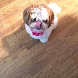 Meet your Posher, Barbara